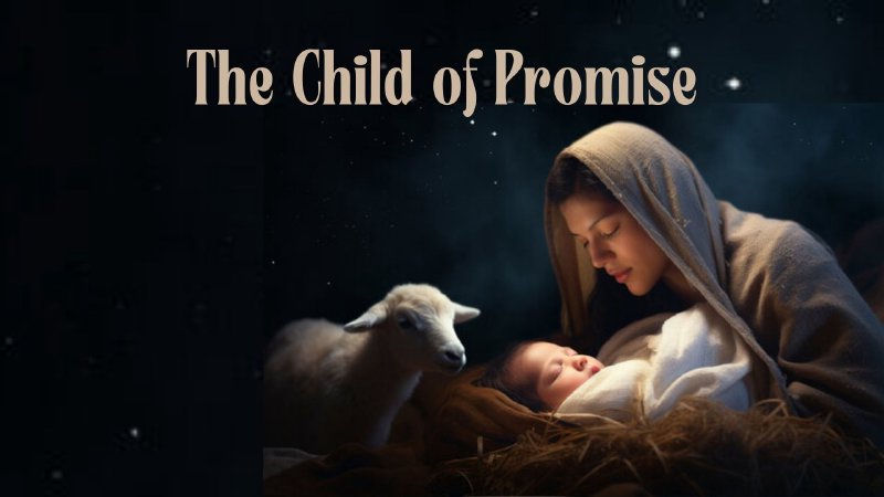 Promised Child The Child of Promise | Central Trinity UMC