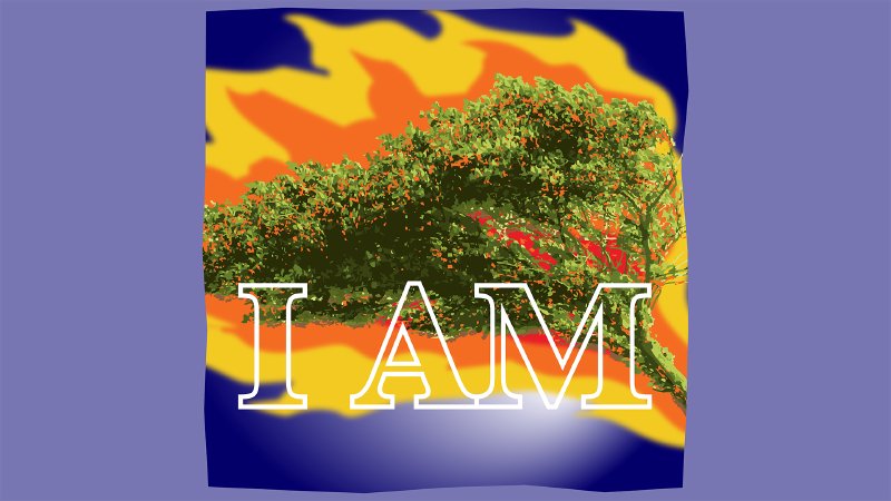 Proper 27 Pentecost 22C (Proper 27) | Emmanuel Lutheran Church