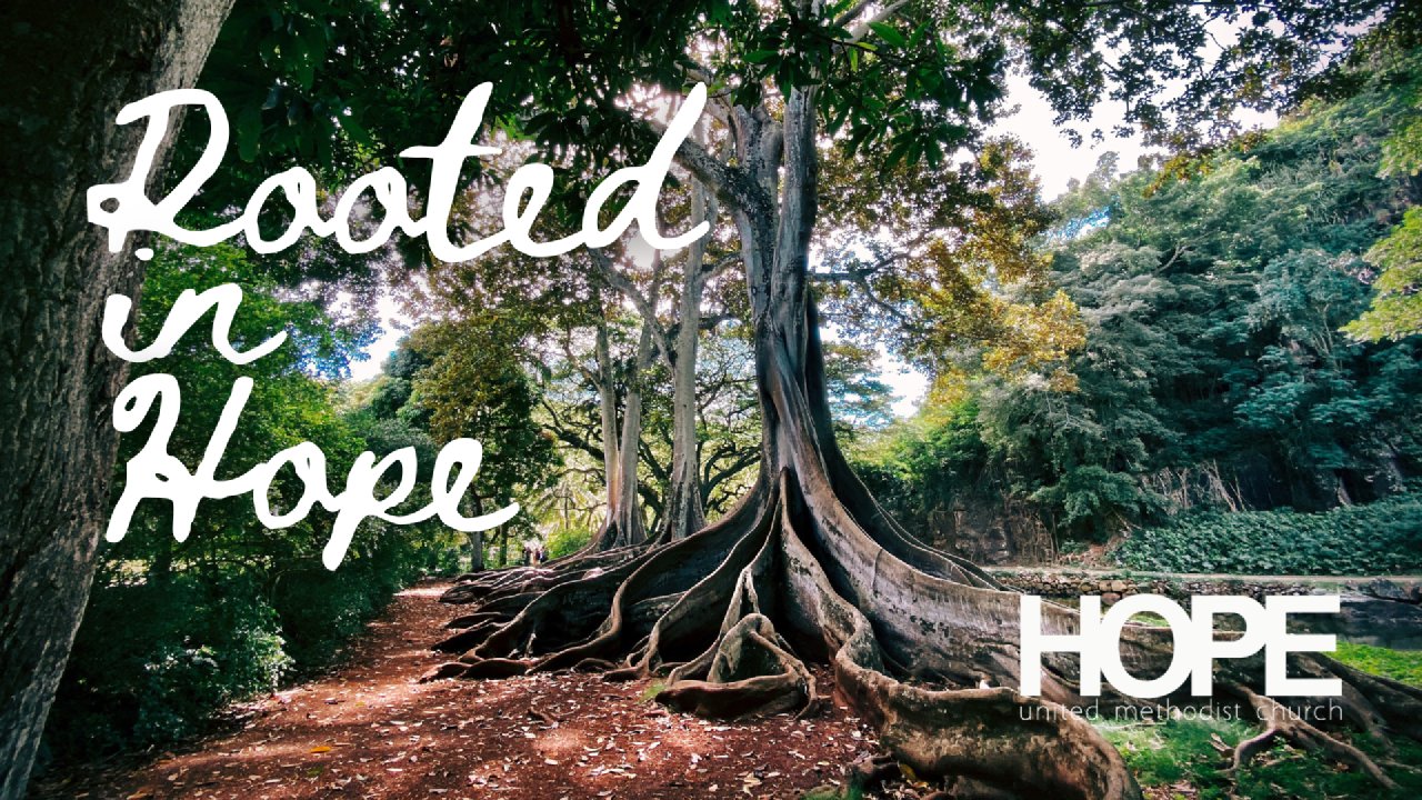 Rooted In Hope Rooted in Hope - Hope United Methodist Church