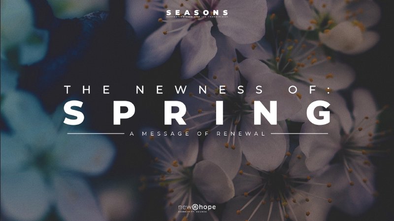 Spring Crosswalk The Newness of Spring | Crosswalk Church