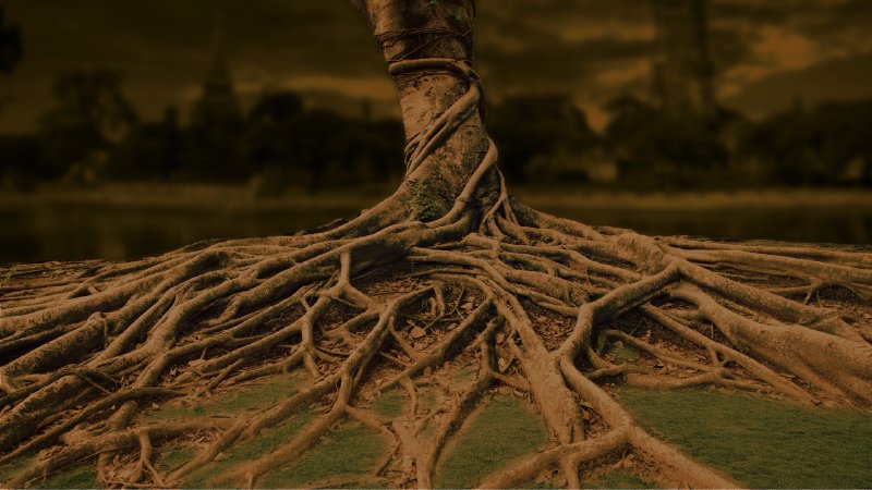 Rooted From Where are You Rooted? | First Baptist Corpus Christi