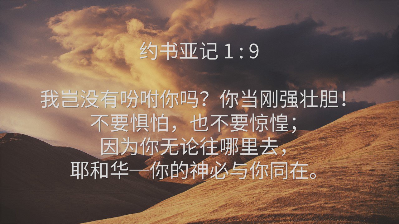 每日灵修 2020年7月4日 Petra Community