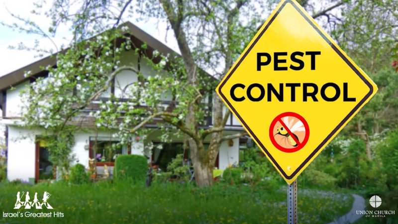 Union Pest Control Pest Control | Union Church of Manila