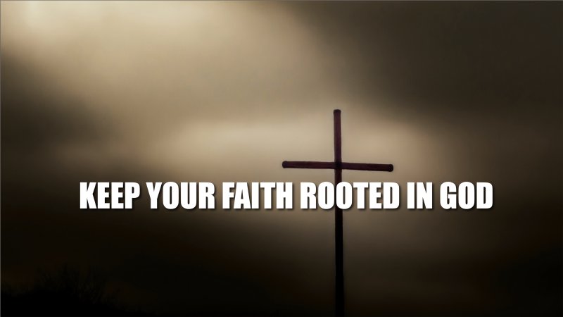 Keep Rooted Keep Your Faith Rooted In God | First Baptist Church Wadesboro - North ...
